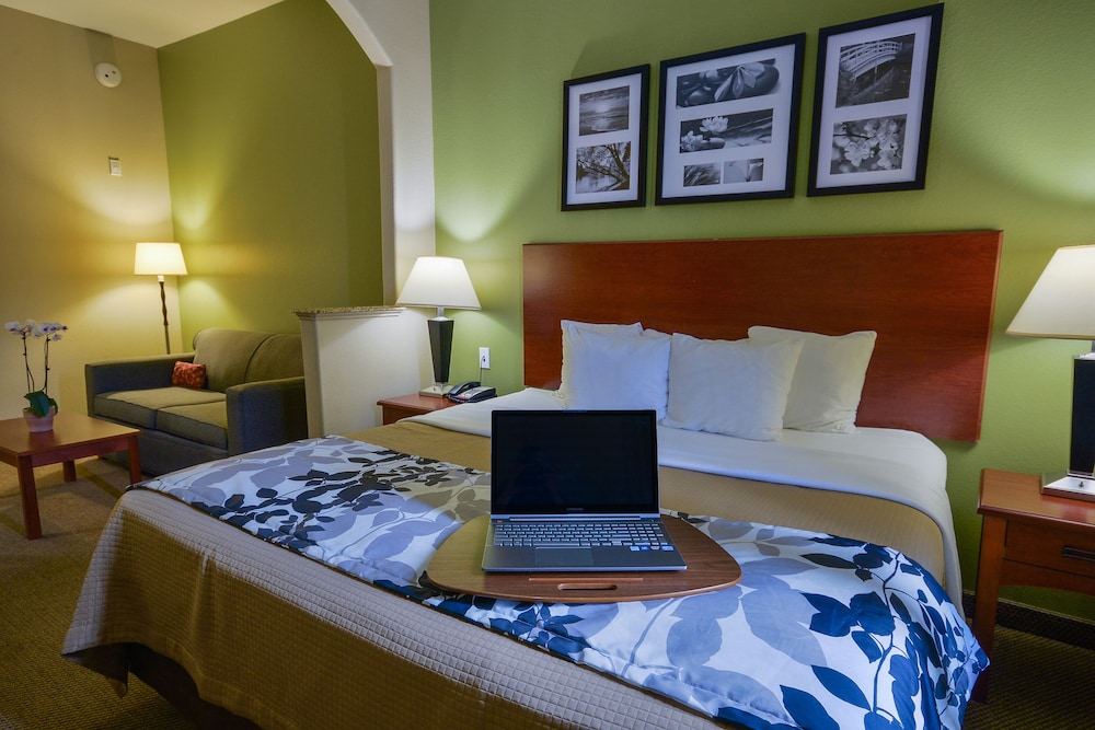 Suite - Photo 1
