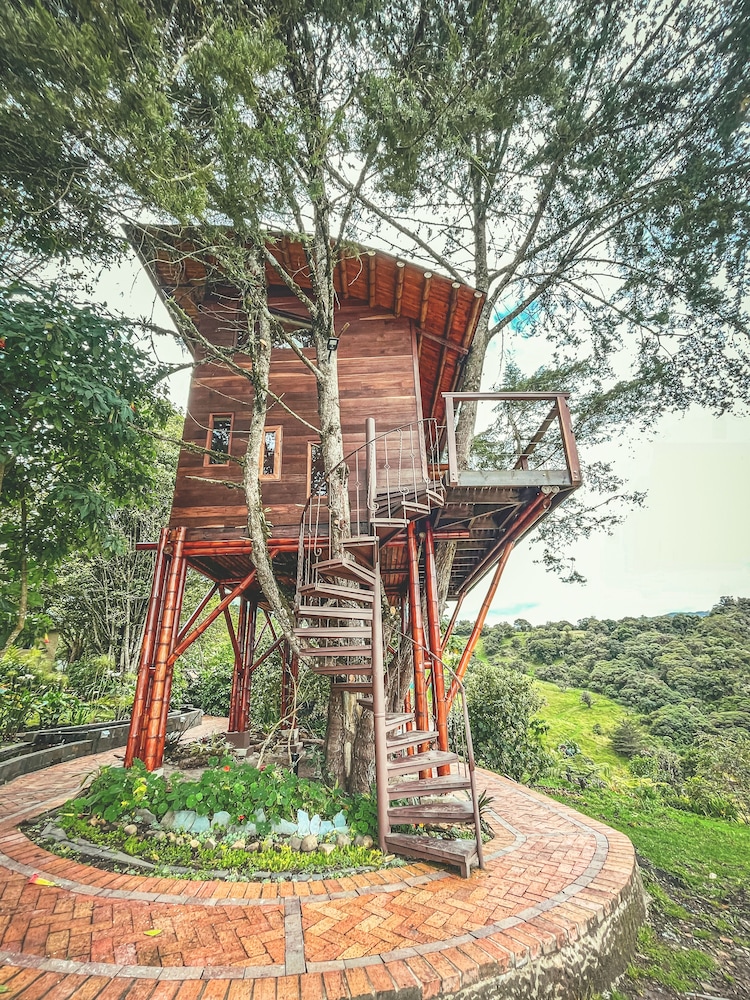 Tree House, Multiple Beds, Mountain View photo 1