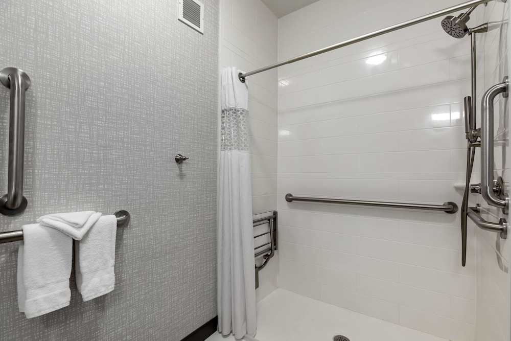 Room, 1 King Bed, Accessible (Roll-In Shower) - Photo 6