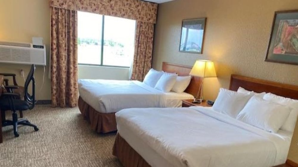 Studio Suite, Multiple Beds, Non Smoking photo 2