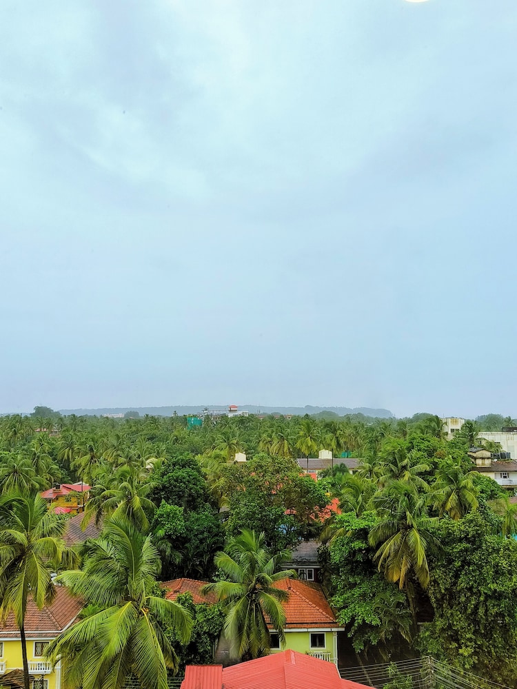 D-Luxe Queen Room- Coastal View - Photo 3