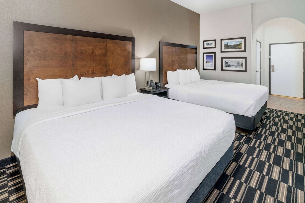 Room, Multiple Beds, Non Smoking photo 3