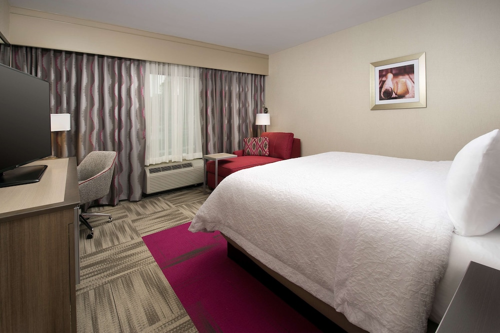 Room, 1 King Bed, Accessible, Non Smoking (Roll In Shower) photo 2