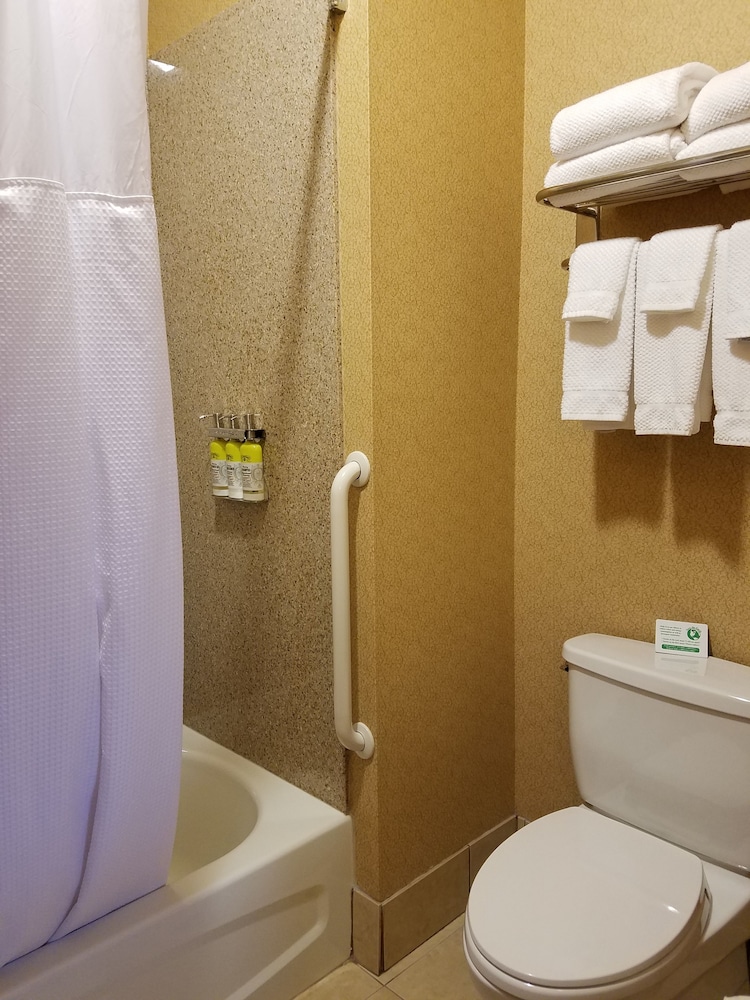 Suite, 1 Bedroom, Kitchen (2 Double Beds, Sofa Bed) - Photo 4
