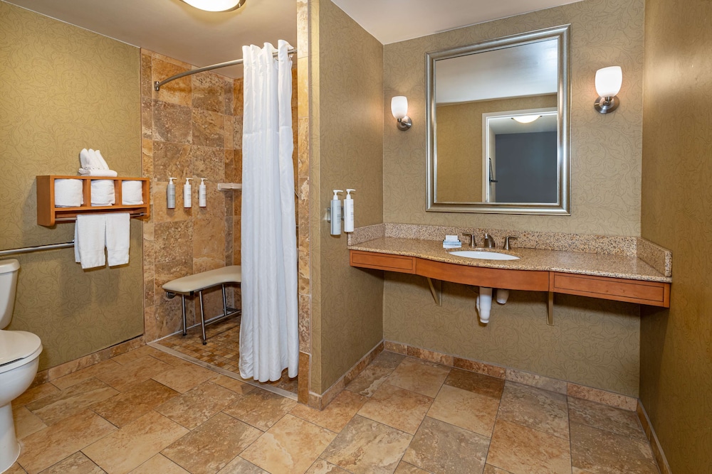 ADA Accessible Suite, 1 King Bed, Accessible (Roll-In Shower) - Photo 6