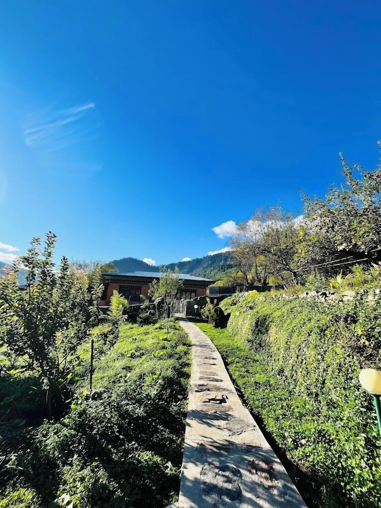 Comfort Double or Twin Room, Balcony, Hill View photo 3