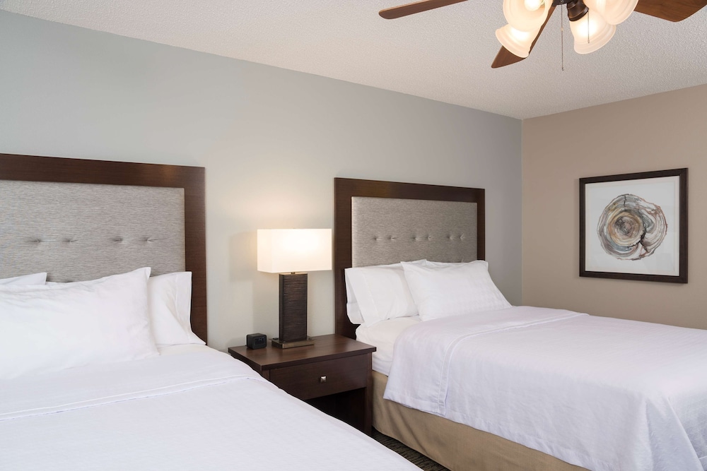 Suite, 1 Bedroom photo 3