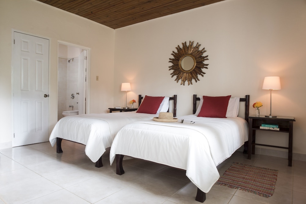 Chambre (Garden Kitchennette)