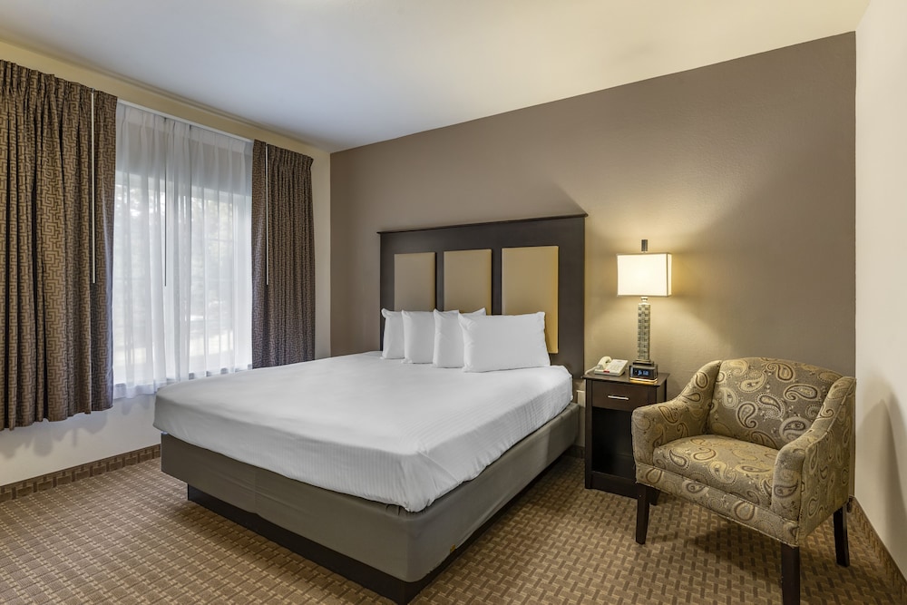 Executive Suite, 1 King Bed with Sofa bed, Kitchen