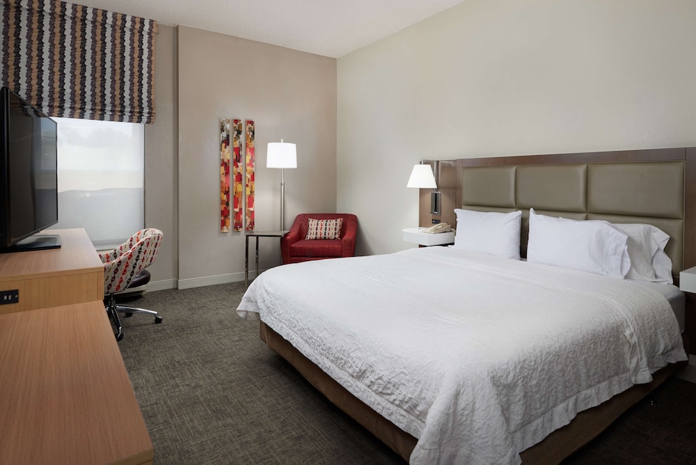 Room, 1 King Bed, Accessible (Mobility & Hearing, Roll-In Shower) - Photo 5