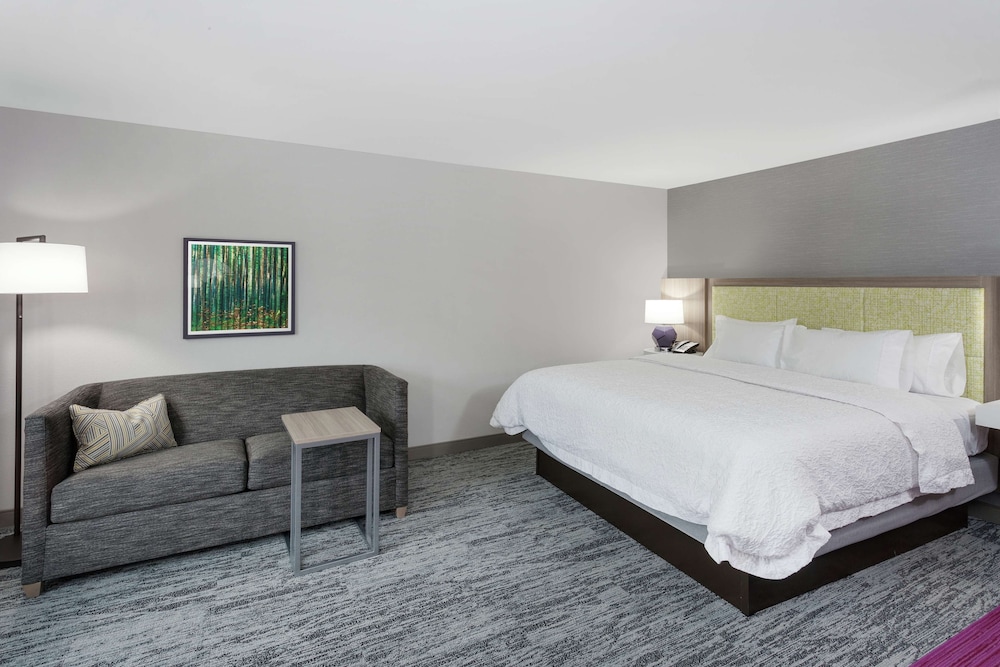 Room, 1 King Bed with Sofa bed, Accessible, Refrigerator (Bathtub)