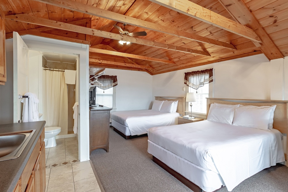 Large One Room Cottage photo 2