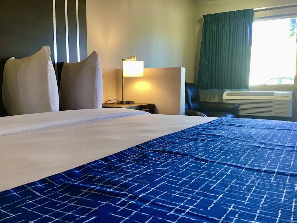 Room, 1 King Bed, Non Smoking photo 3