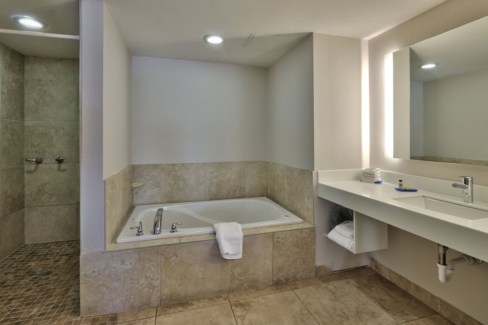 Suite, 1 Bedroom - Photo 8