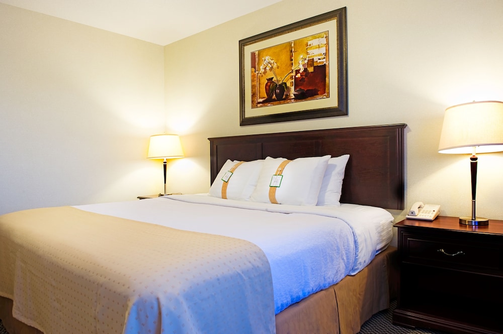 Suite, 1 King Bed, Accessible (Communications) photo 2
