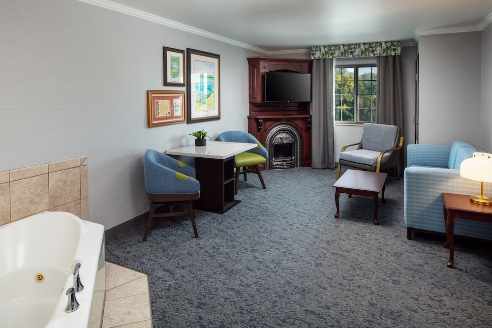 Premium Suite - Photo 1