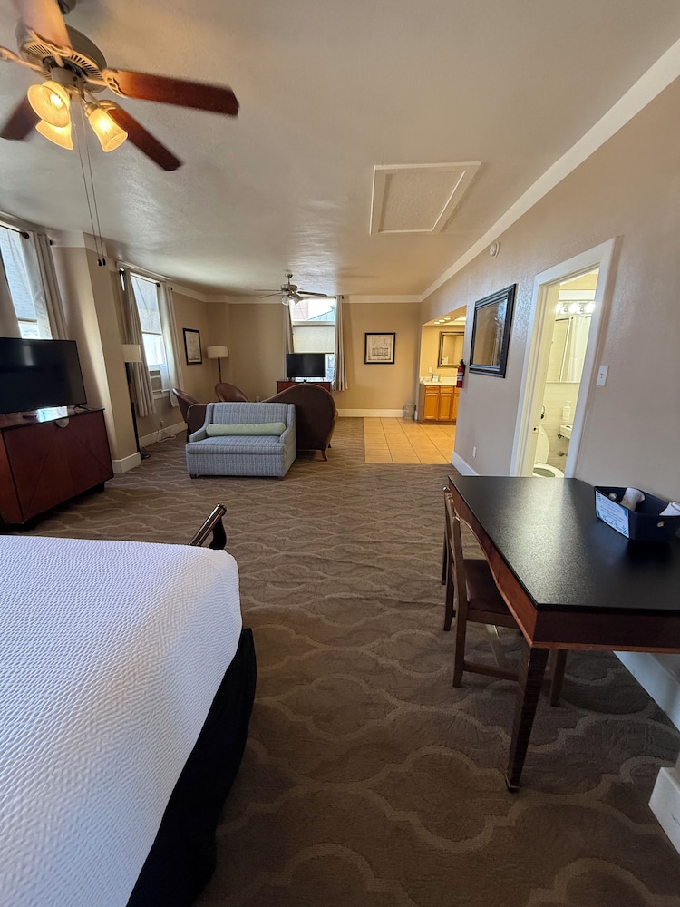 Executive Studio Suite photo 2