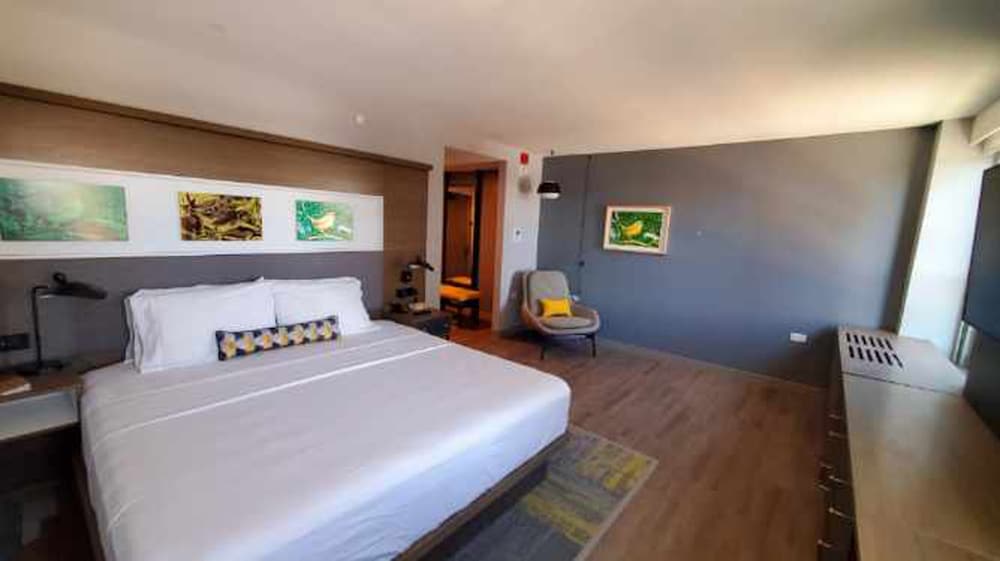 Standard Room, 1 King Bed, Roll-in Shower (Communications Accessible) - Photo 1