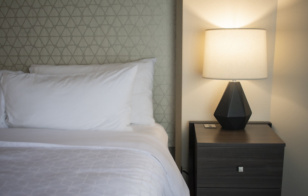 Premium Room, 1 King Bed (TDM Stadium View) - Photo 4