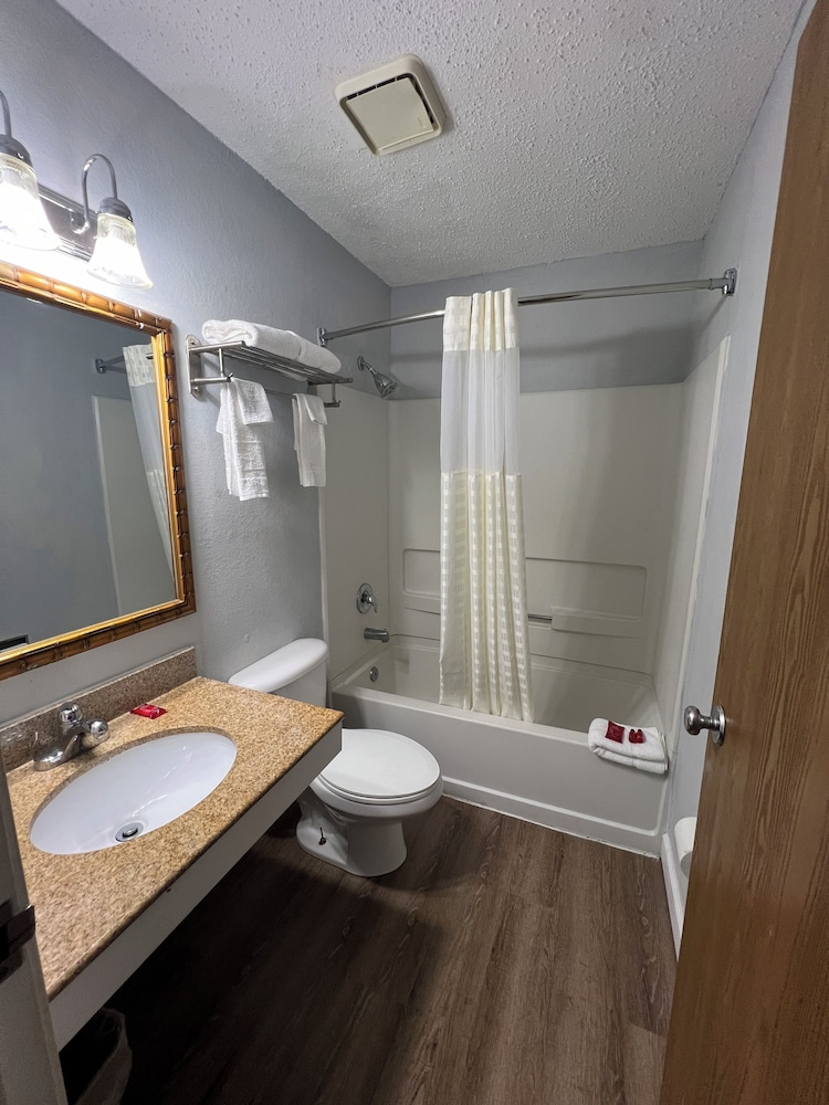 Standard Single Room, 1 Queen Bed, Non Smoking photo 2