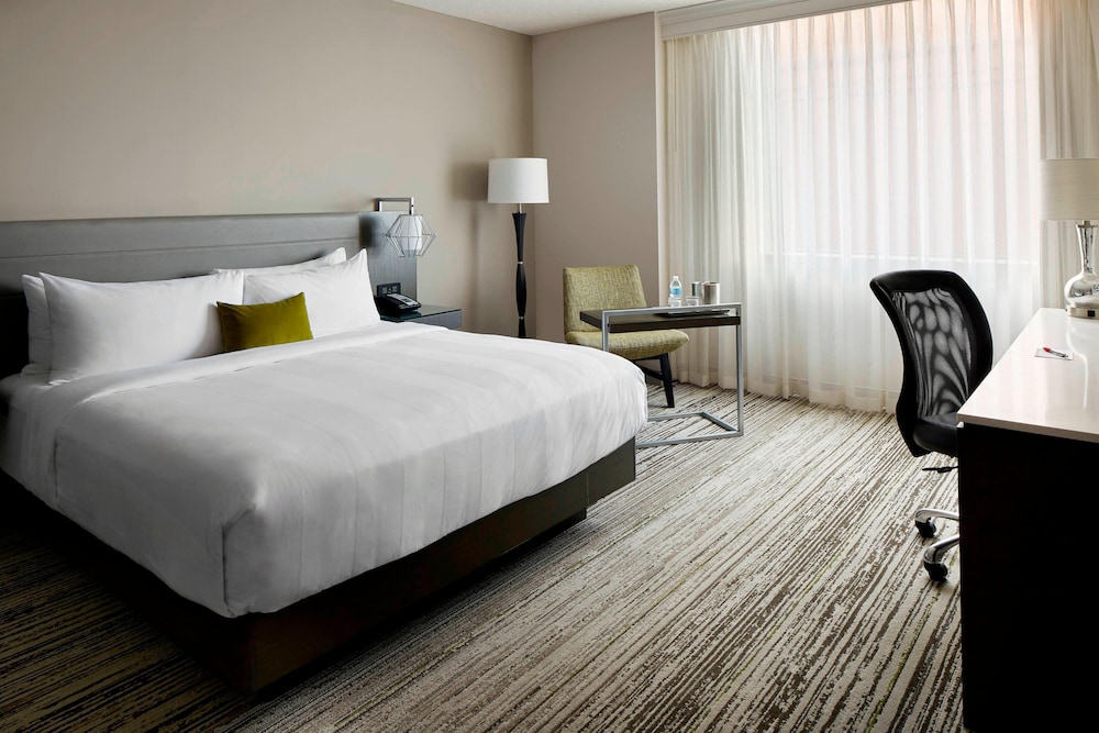 Club Room, 1 King Bed photo 1