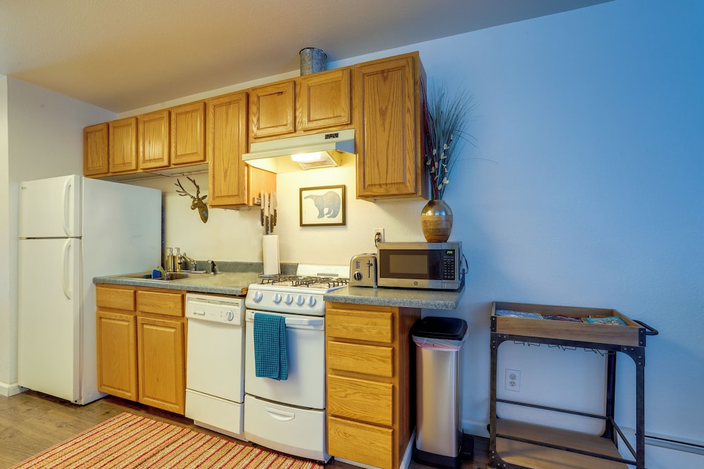 Apartment (1 Bedroom) photo 3