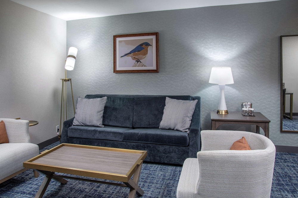 Studio Suite, 1 King Bed, Balcony photo 3