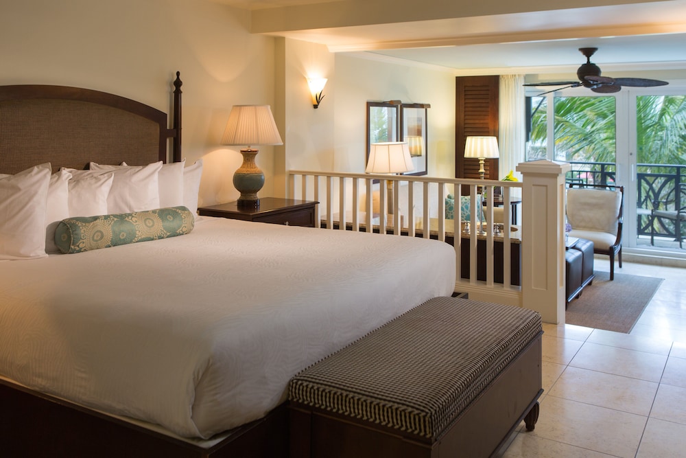 Studio Suite, 1 King Bed, Roll-in Shower (Mobility Accessible) - Photo 2