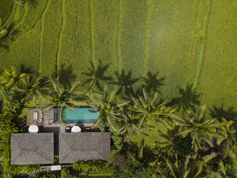 2 Bedroom Pool Villa with Rice Field View and Daily Scheduled Activities - Photo 10