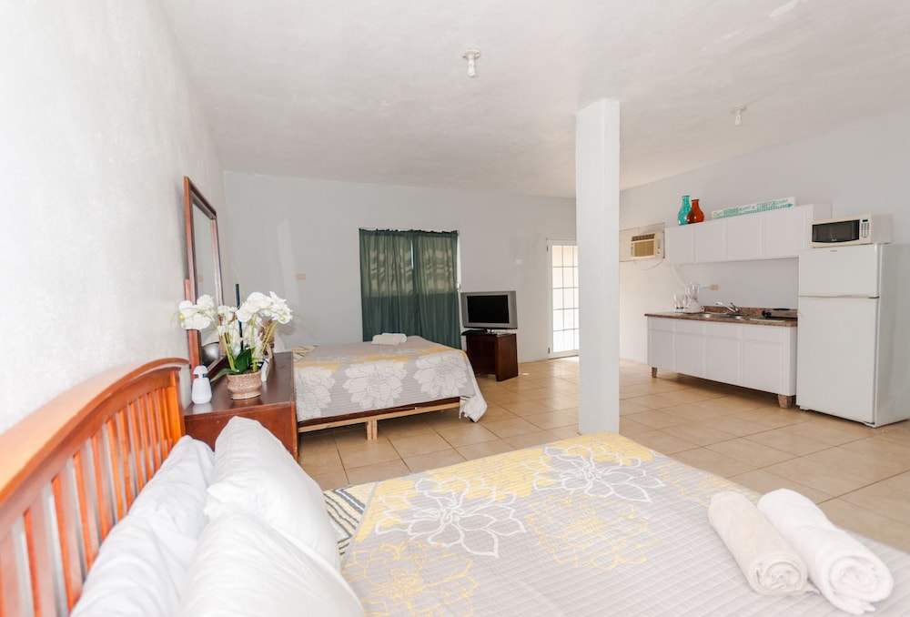 SA 102 Deluxe Studio Villa, 2 Queen Beds, 1st Floor photo 1