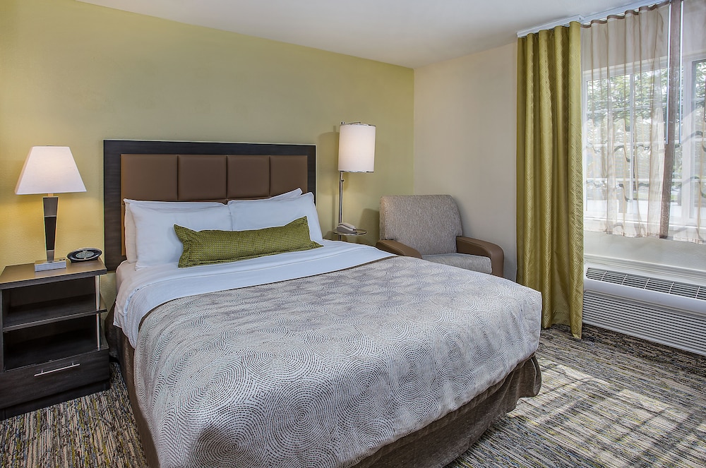 Studio Suite, 1 Queen Bed - Photo 2