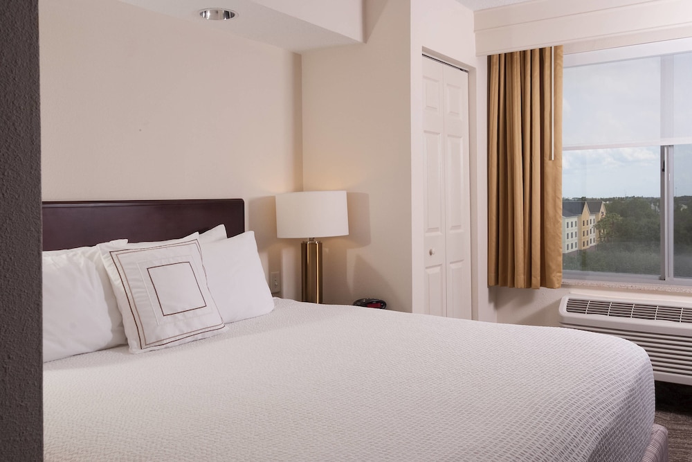 Suite, 1 King Bed with Sofa bed