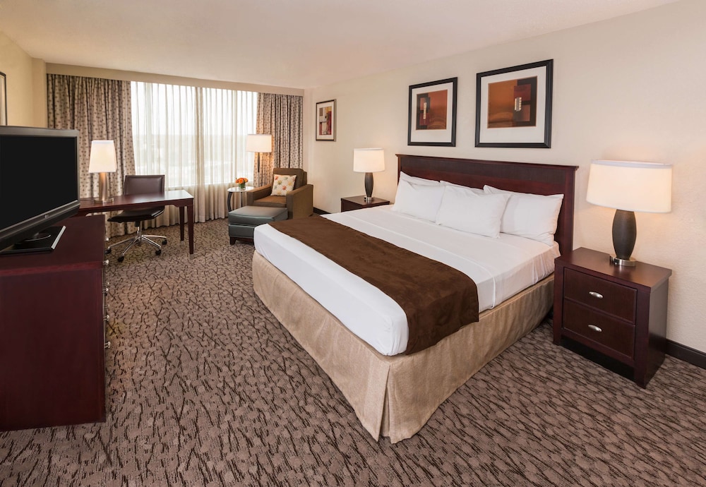 Room, 1 King Bed