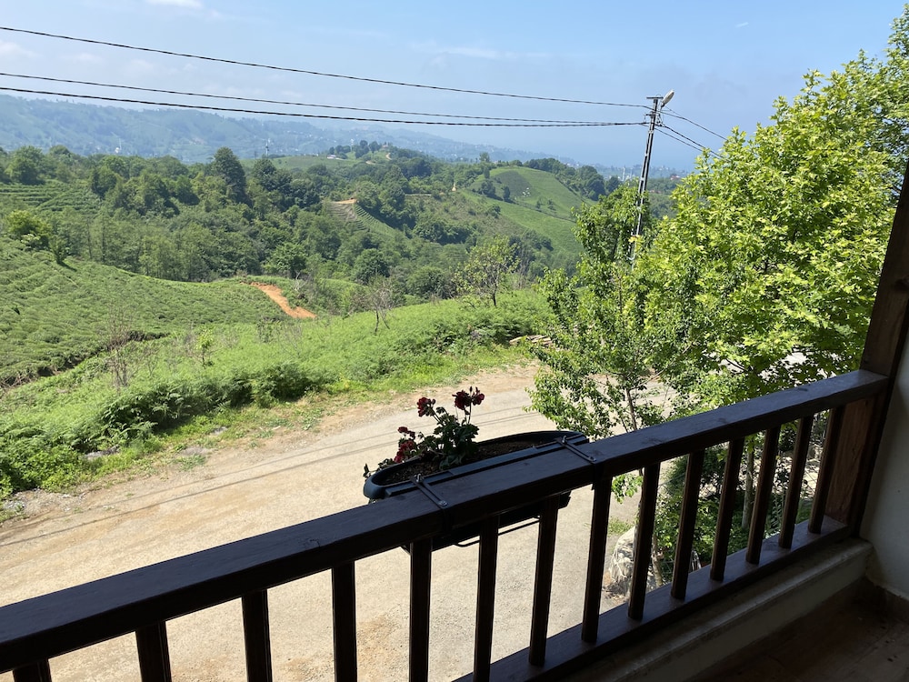 Superior Room, Mountain View photo 3