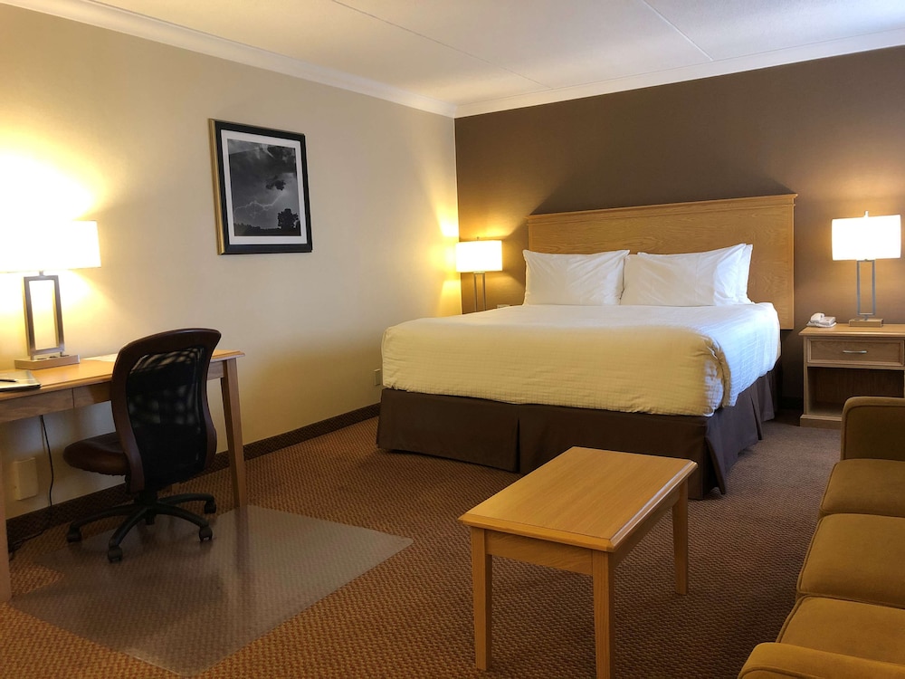 Business Room, 1 King Bed, Non Smoking, Jetted Tub (with Sofabed) photo 1