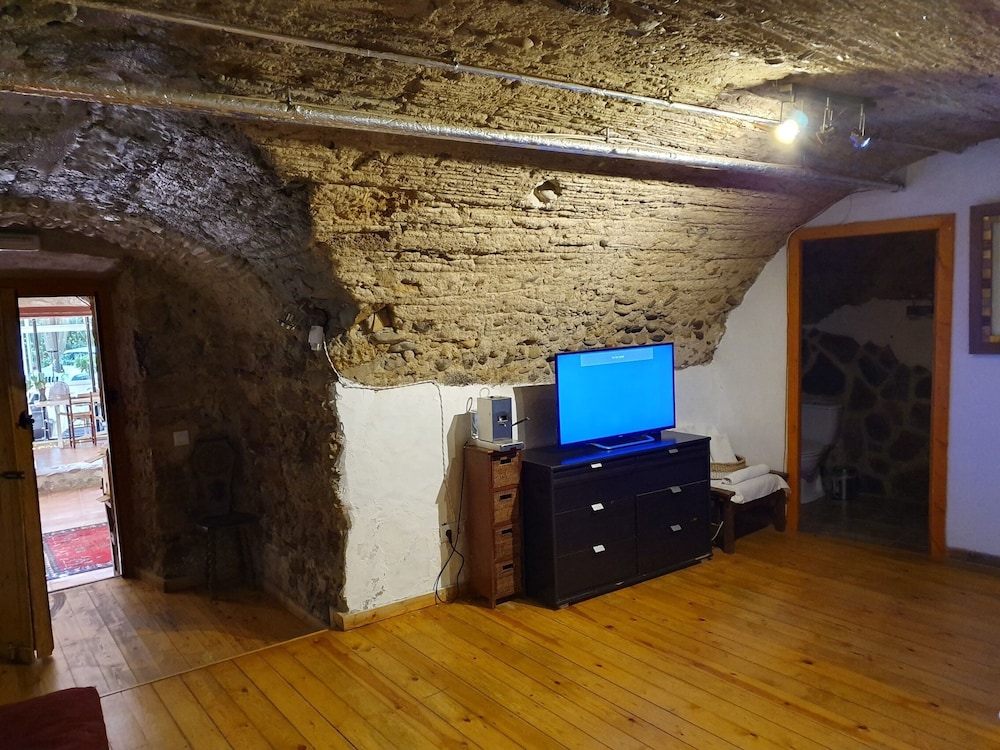 Junior Studio Suite photo 3