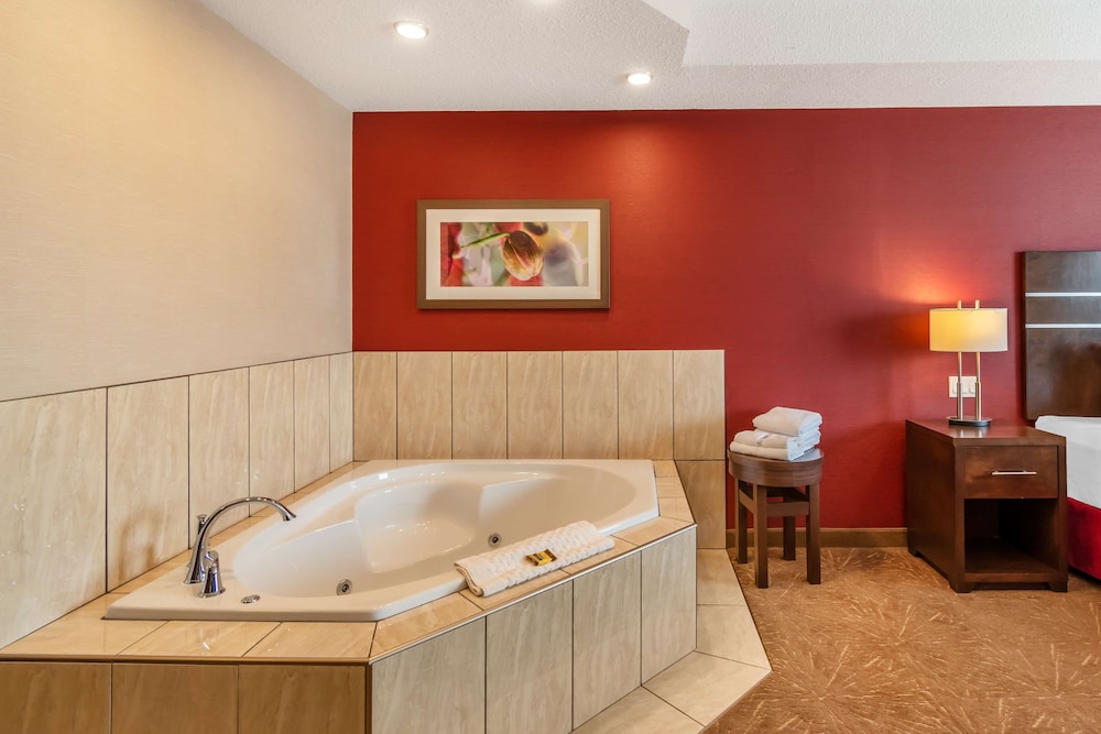 Standard Room, 1 King Bed, Non Smoking, Jetted Tub