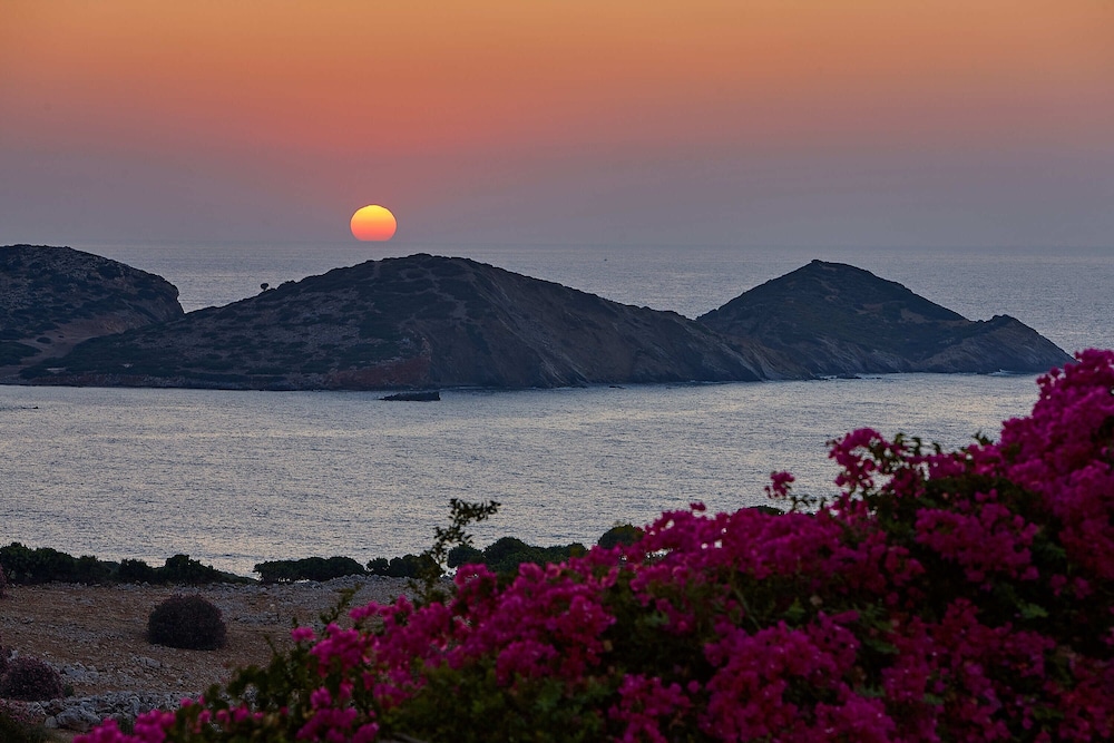 Villa, 3 Bedrooms, Private Pool, Oceanfront (Dioni)