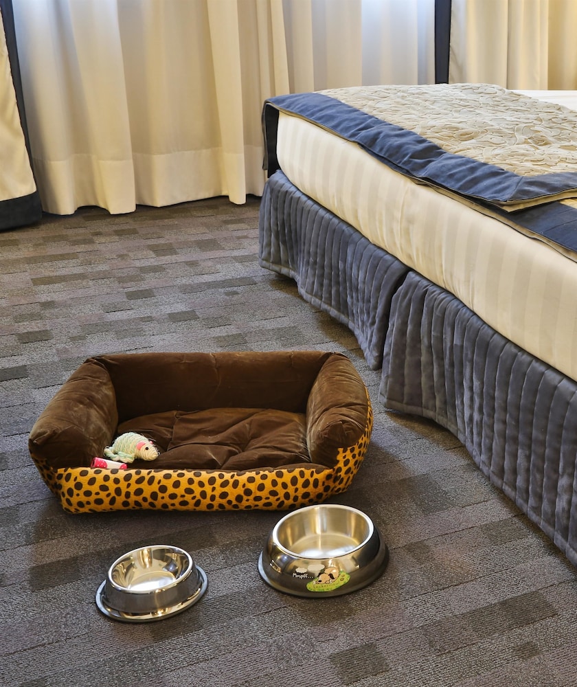 Classic Room, 1 Twin Bed photo 3