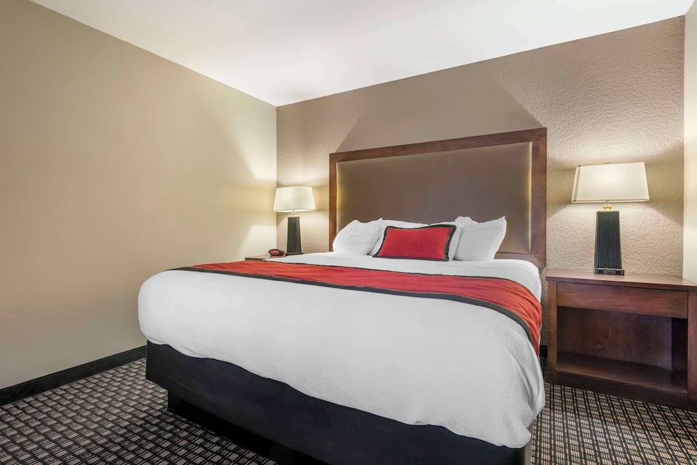 Standard Room, 1 King Bed, Non-Smoking Down & Out - Photo 2