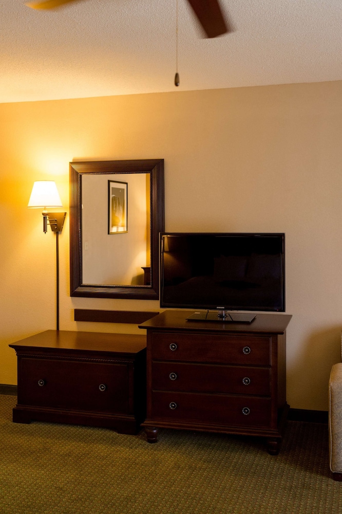 Suite, 1 Bedroom, Non Smoking - Photo 5
