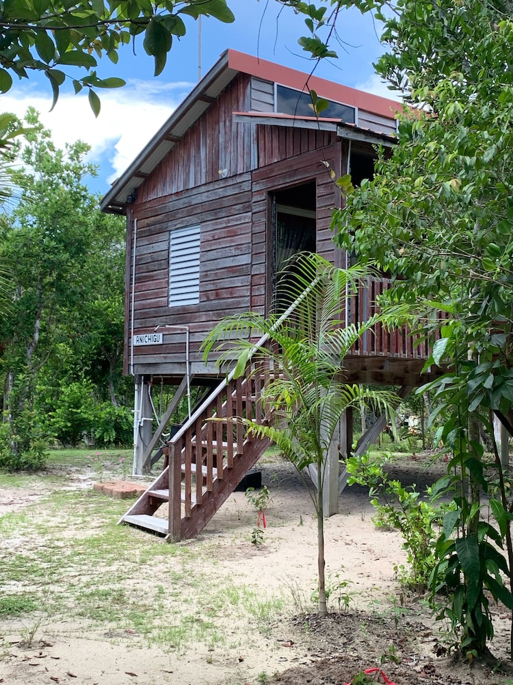 Traditional Cabin, 1 Bedroom, Garden View, Beachfront photo 3