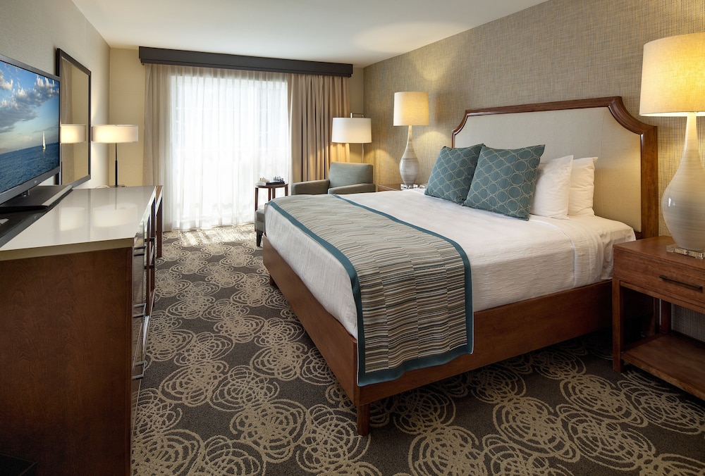 Suite, 1 Bedroom - Photo 2