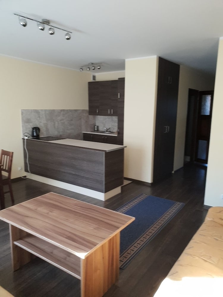 Classic Apartment, 2 Bedrooms, Kitchenette, City View photo 1