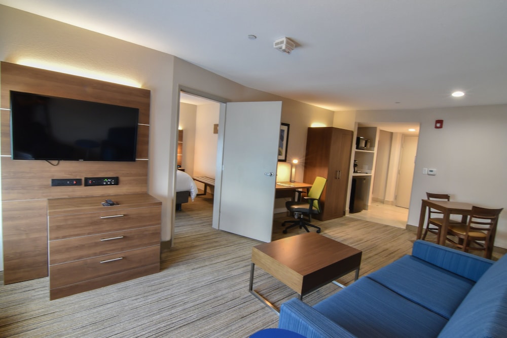 Suite, 1 King Bed (Extra Floor Space) photo 3