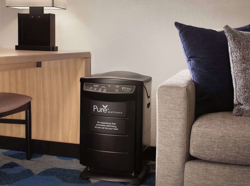 Suite, 1 King Bed, Accessible, Allergy Friendly (Hearing) - Photo 5