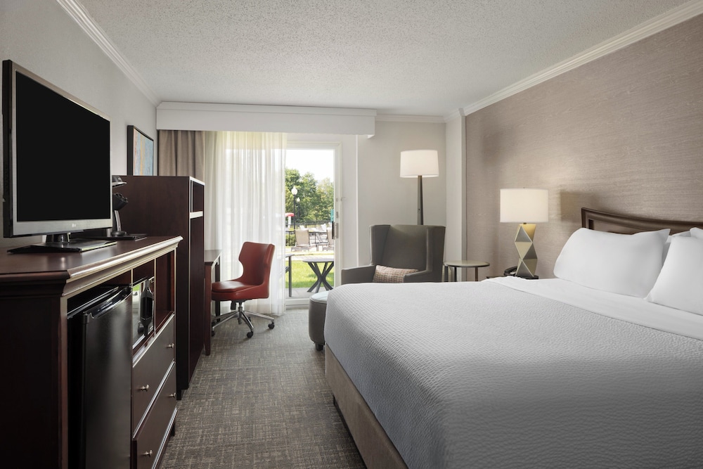 Room, 1 King Bed, Mobility Accessible, Pool View (Roll-In Shower) - Photo 1