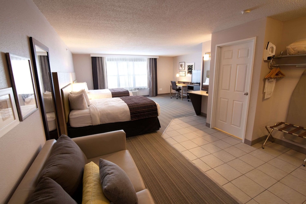 Studio Suite, Multiple Beds, Non Smoking photo 1