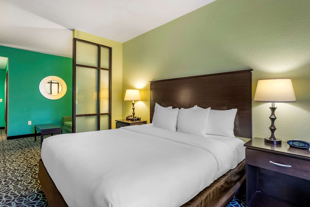 Suite, 1 King Bed With Sofa Bed, Accessible, Non Smoking