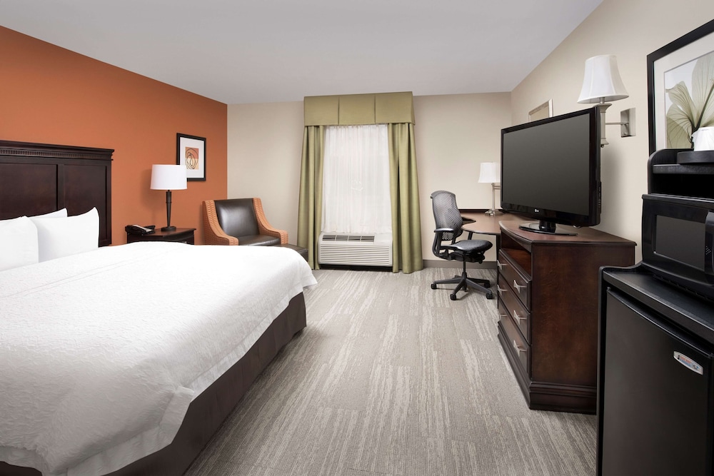 Room, 1 King Bed, Accessible (Mobility & Hearing, Roll-in Shower) - Photo 2